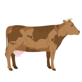 Labels Kalb